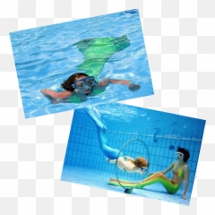 The Mermaid Kat Shop Teaches You Tail Safety - Snorkeling Png,Mermaid Tail Png