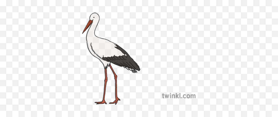 White Stork Illustration - Twinkl Giants Netball Logo Black And White Png,Stork Png