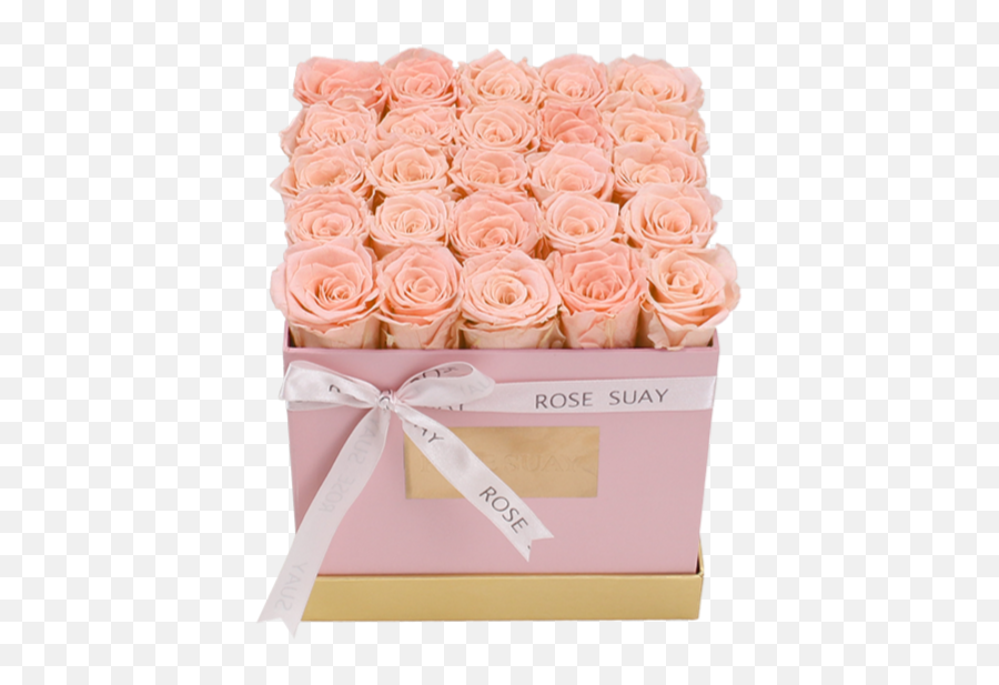 Champagne Eternity Roses - Medium White Square Box Rosesuay Garden Roses Png,Square Box Png