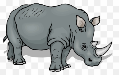 Download Free Rhino Clipart - Rhinoceros Images Art png