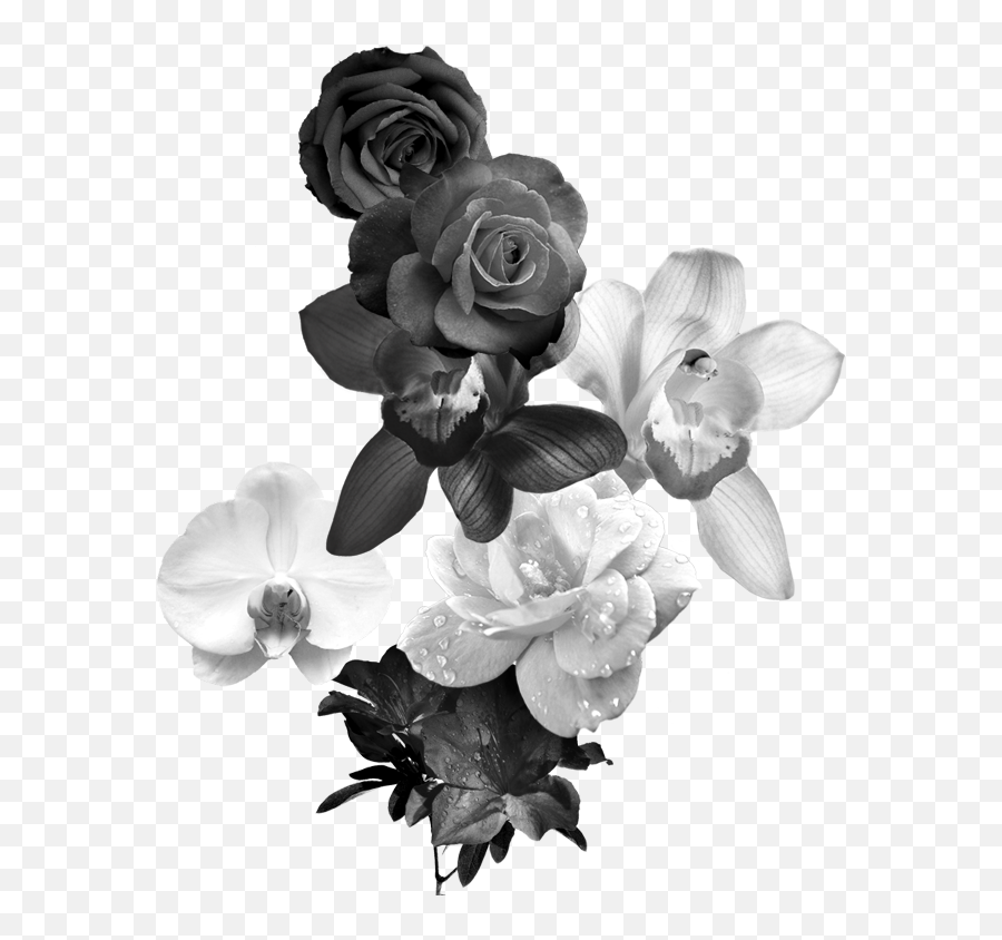 Black And White Flower Monochrome - Aesthetic Black Flowers Png,Black And White Rose Png