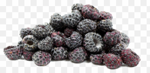 Black Raspberries Png File - Raspberry,Raspberries Png