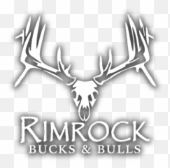 Rimrock Bucks U0026 Bulls - Downloads Elk Png,Bucks Logo Png