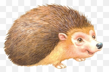 Porcupine Rodent European Domesticated - Porco Espinho Png,Porcupine Png