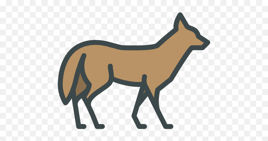 Coyote - Free Animals Icons Transparent Coyote Icon Png,Coyote Png