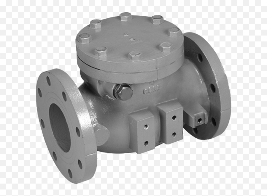 Mueller 2 - 12 Swing Type Gravity Operated Check Valve Png,Gravity Png