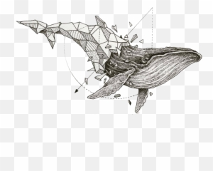 Download Whale Sketchbook Art Rosanes Geometry Of Stories - Kerby Rosanes Geometric Beasts Png,Sketchbook Png