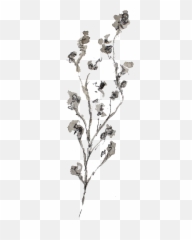 Delicate - Twig06 Kristen Kaiser Aesthetic Graphionica Ideas Png,Twig Png
