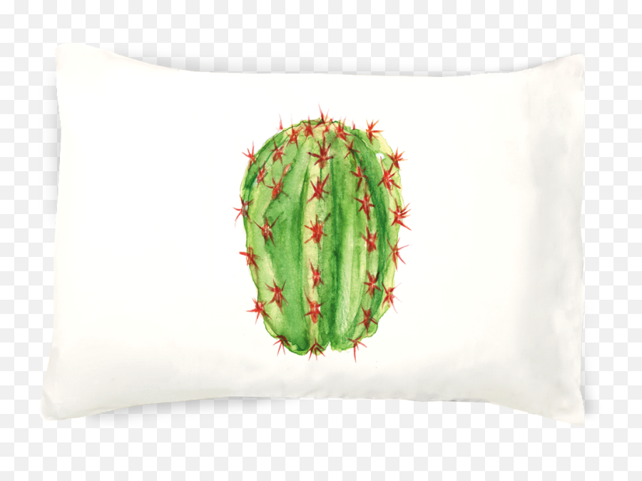 Looking Sharp - 1 Barrel Cactus Pillowcase Cactus Png,Cute Cactus Png