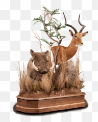 Impala U0026 Warthog Im104 Our Work Kanati Studio - Animal Figure Png,Warthog Png