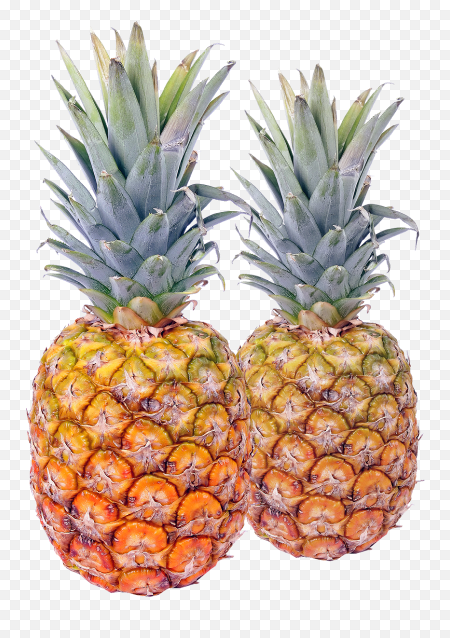 Pineapple Fruit Transparent Png Images - Transparent Pineapples Png,Pineapple Png