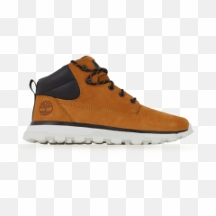 Timberland Sneakers - Lace Up Png,Timberland Men's Icon Field Boot