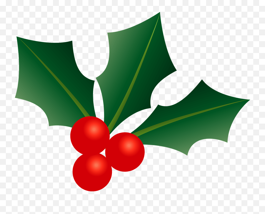Christmas Holly Clipart Free Download Creazilla Png