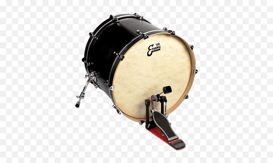 Bass Drum Transparent Png - Bass Batter Head Drum,Bass Drum Png