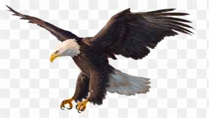 eagle playing baseball clipart no background