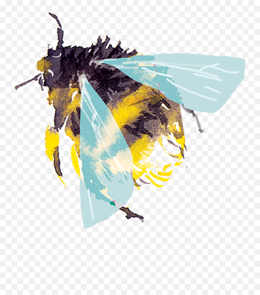 Helen Dealtry From Tattly Temporary Tattoos - Bee Watercolor Png,Bumblebee Logo