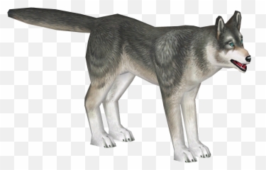 Husky - Sakhalin Husky Png,Husky Png