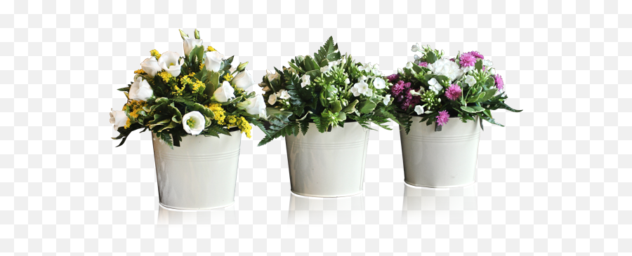 Download Potted Plants And Flowers Png - Flowerpot,Flower Pot Png