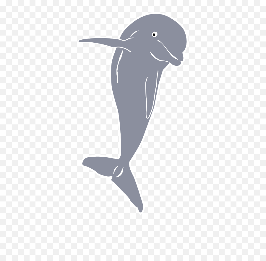 Nmmp Dolphin Png Image Free U2013 Getintopik - Ikan Pesut Mahakam Vector,Dolphin Png