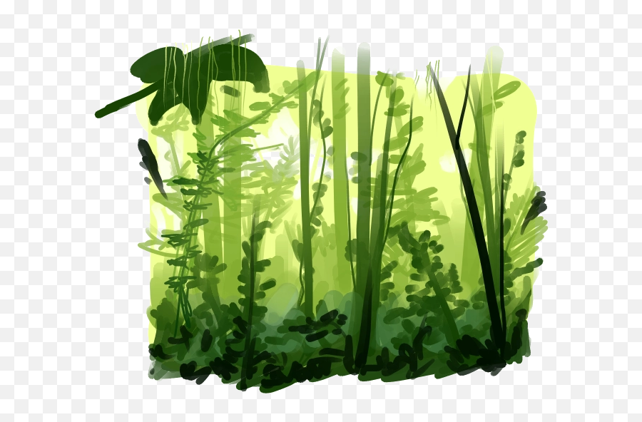 Download Free Png Rainforest Pic - Rainforest Png,Rainforest Png