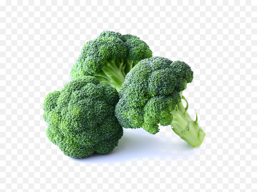 Broccoli U2013 Startfruit - Broccoli Hd Png,Brocoli Png