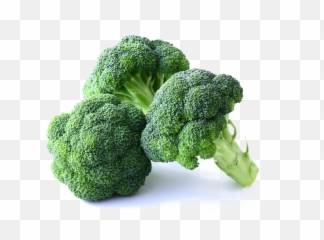 Broccoli U2013 Startfruit - Broccoli Hd Png,Brocoli Png