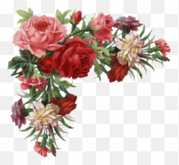 Download Rose Border Flower Clothing Vintage Free Png Hq - Border Vintage Flower Png,Rose Border Png