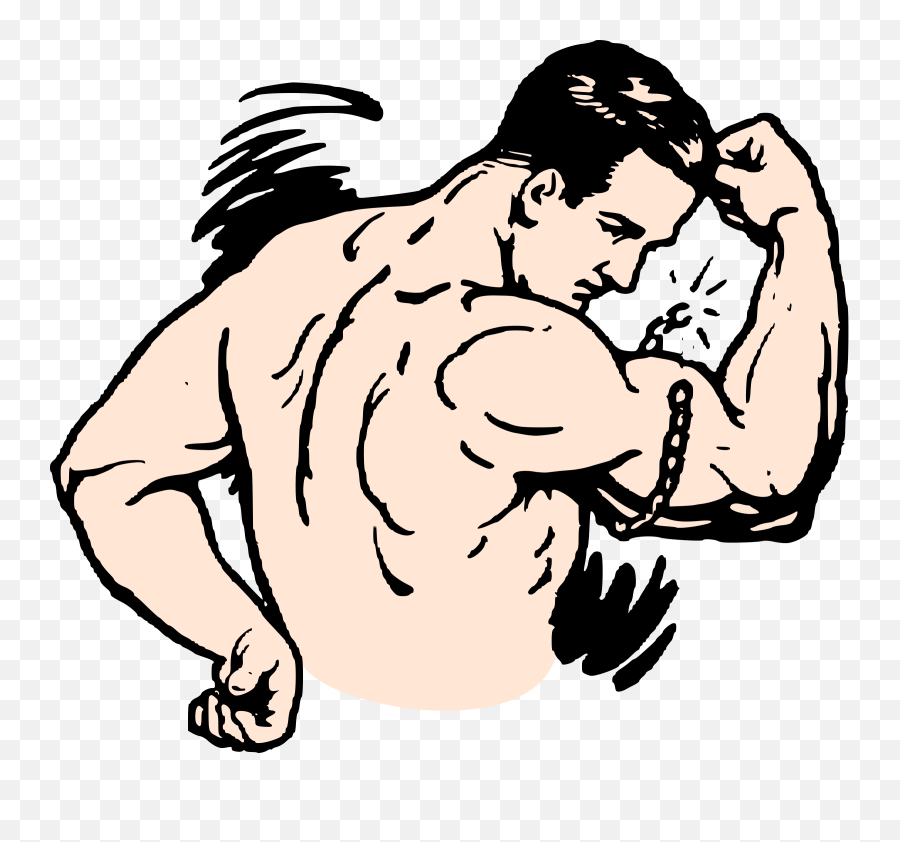 Muscles Strong Man - Free Vector Graphic On Pixabay Man Flexing Muscles Clipart Png,Muscle Man Png