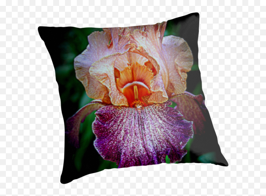 Thin Blue Line Throw Pillows - Decorative Png,Iris Flower Png