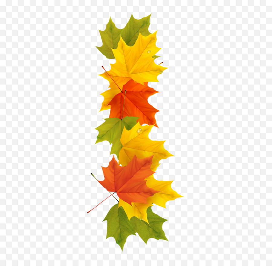 Fall Leaves Border - Autumn Trail Clip Art Hd Png Download Orange Leaf White Background,Autumn Leaves Border Png