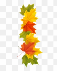 Fall Leaves Border - Autumn Trail Clip Art HD Png Download Orange Leaf White Background