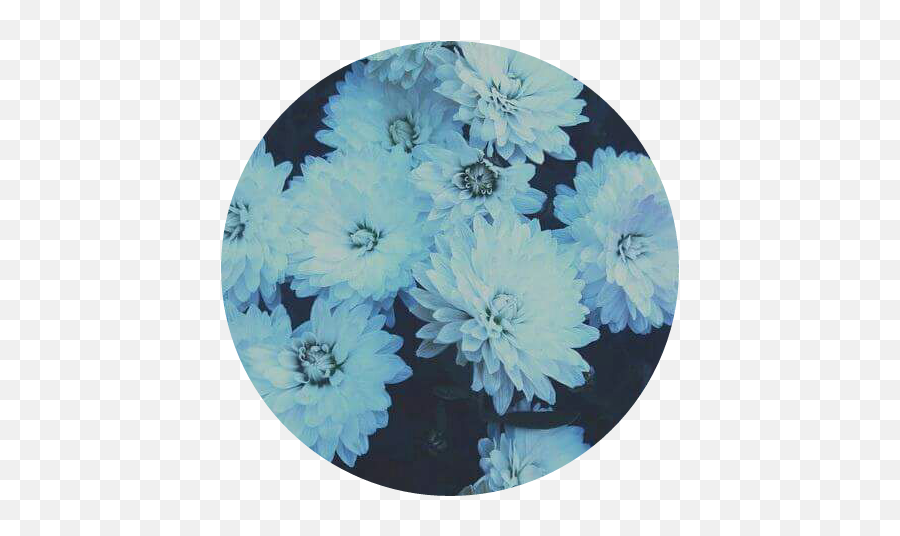Flowers Blue Tumblr - Pastel Blue Blue Stickers Full Size Flowers Png Tumblr Blue,Tumblr Flowers Transparent