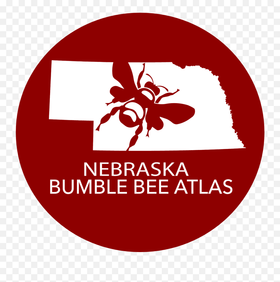 Nebraska Bumble Bee Atlas - Language Png,Bumble Logo