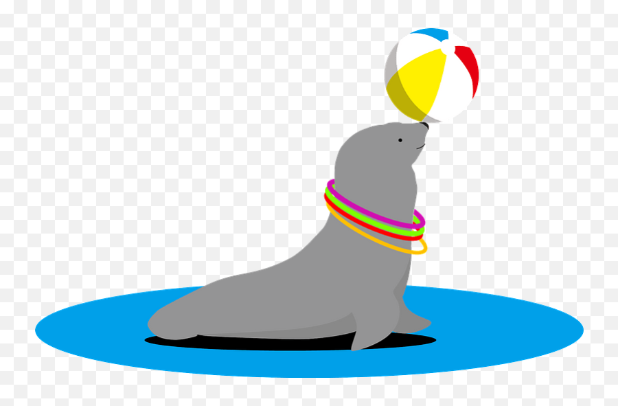 Sea Lion Animal Balancing Ball - California Sea Lion Png,Sea Lion Png