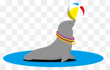 Sea Lion Animal Balancing Ball - California Sea Lion Png,Sea Lion Png