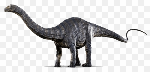 Jurassic Park Transparent Png All - World Dinosaurs Apatosaurus