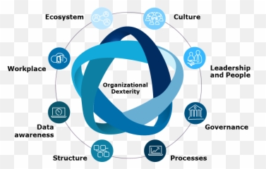 Purpose - driven organization u2013 booster for dexterity Capgemini Invent Organisaion png