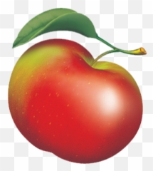 Apple Orchard Middlefield Connecticut Lyman Orchards - Store png