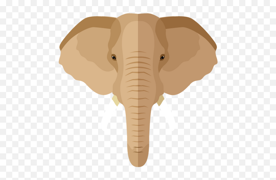 Contact Website - Elephant Hyde Png,App With Elephant Icon