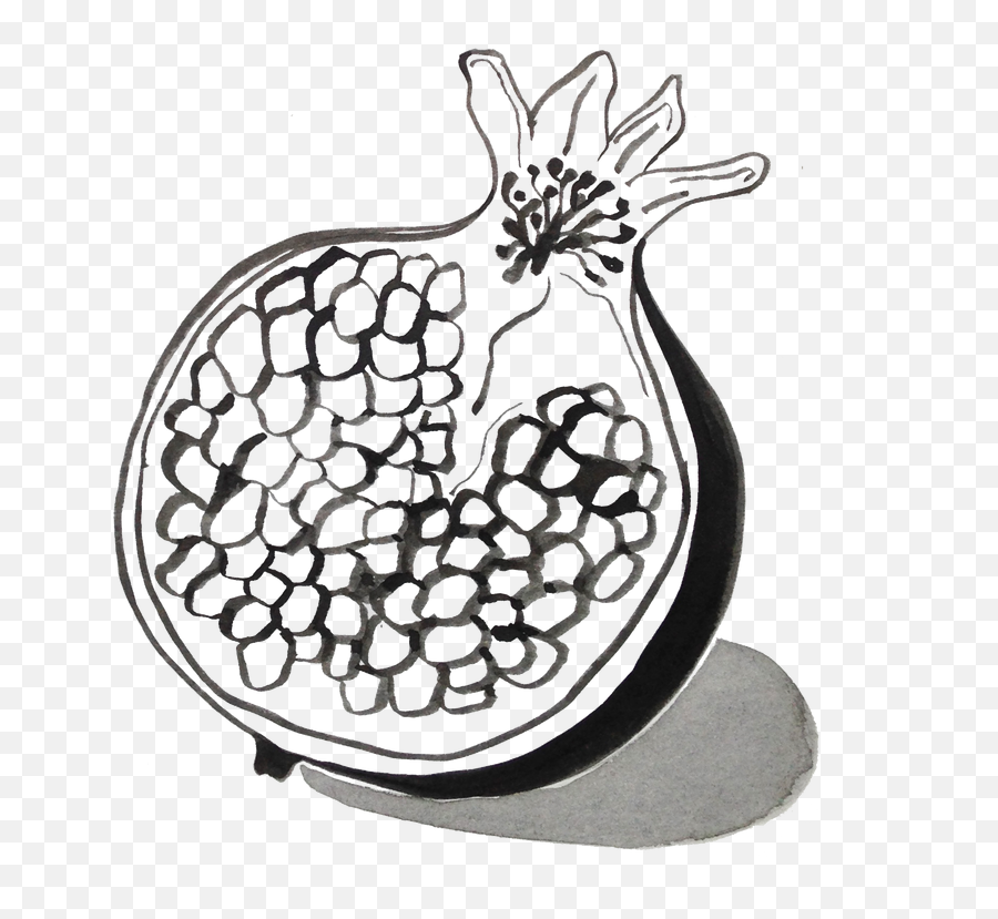 Download Pomegranate Drawing - Black And White Pomegranate Cartoon Png,Pomegranate Transparent
