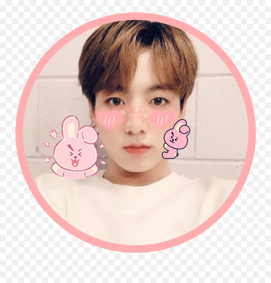 Bts Jungkook Freetoedit Sticker By Mashmellow - Bts Twitter Png,Bts Jungkook Icon