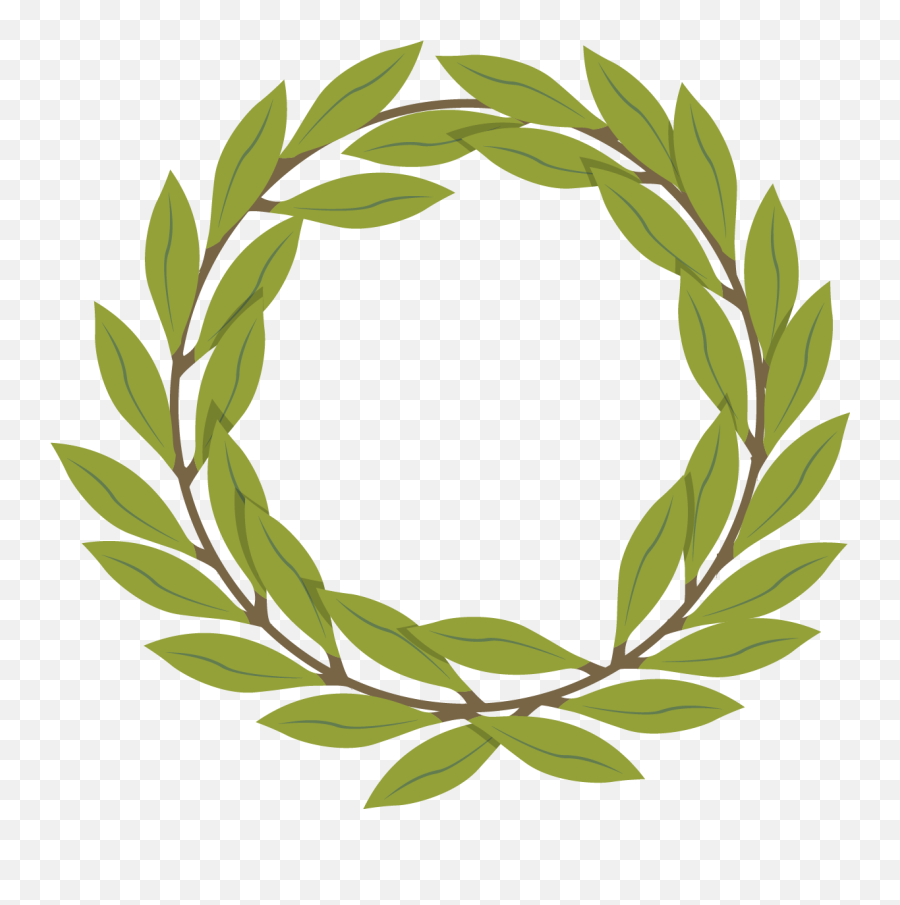 Olive Branch Decoration Png Download - Vector Olive Branch Png,Olive Tree Png