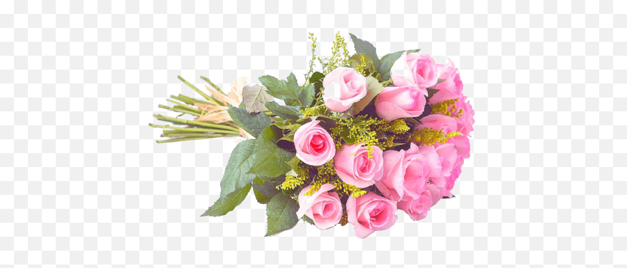 18 Rosas Rosadas - Buquê De Flores Png,Flores Png