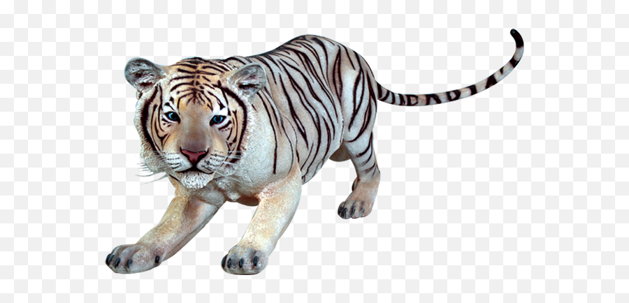 Siberian Tiger Transparent Png - Siberian Tiger Transparent,Tigers Png