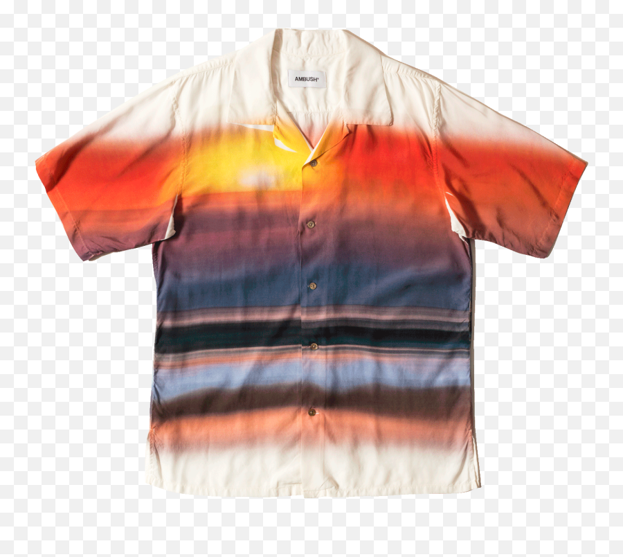 Download Hawaiian Shirt - Blouse Png,Hawaiian Shirt Png