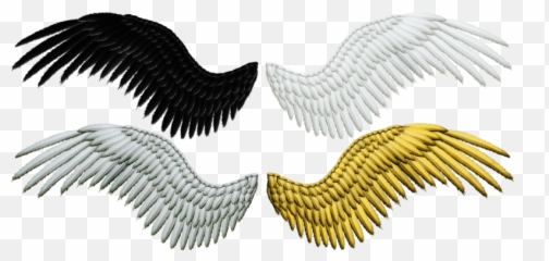 Download Img - Color Are Angel Wings png
