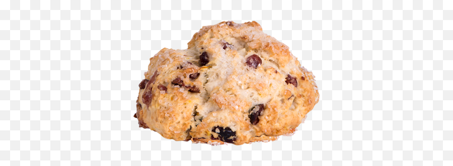 Orange - Cranberrysconepng The Coffee Bean U0026 Tea Leaf Hawaii Orange Cranberry Scone Png,Cranberry Png