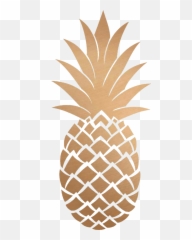 Piña Png Tumblr 3 Image - Imagenes De Una Piña,Piña Png