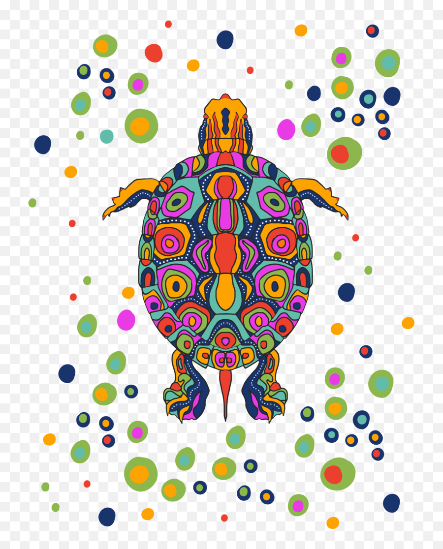 Illustrations U2014 Renee Ciufo Illustration Png Turtle