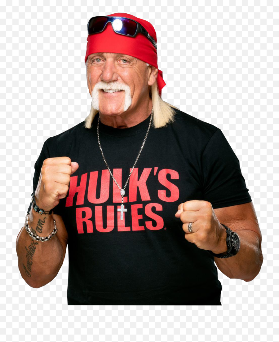 Death Battle Bot - Hulk Hogan Png,Hulk Hogan Png